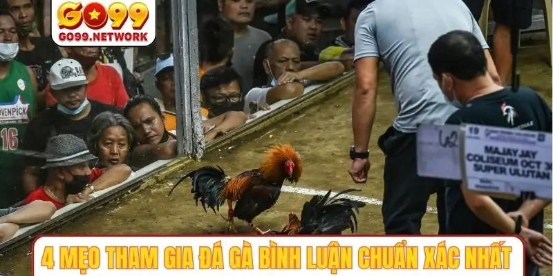 4 mẹo tham gia đá gà bình luận chuẩn xác nhất